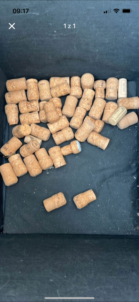 Prosecco/champagne/wine corks (40+)