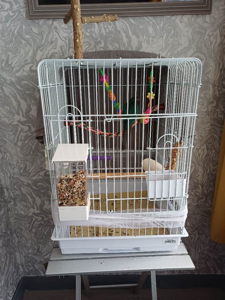 White Bird Cage with Feeder, Perch & Toys – Good Condition