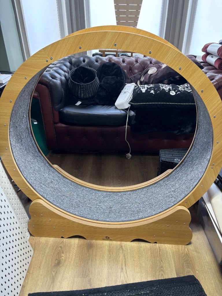 Large Cat wheel 