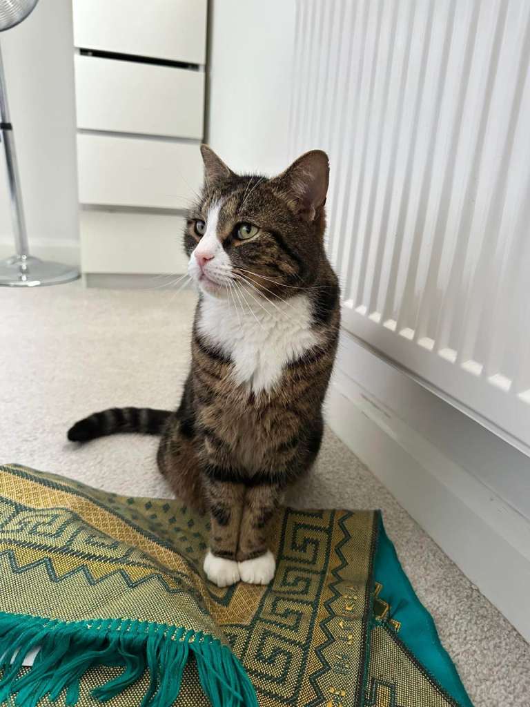 In need of a new home