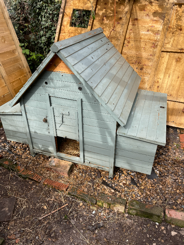 Small chicken coop with laying boxes