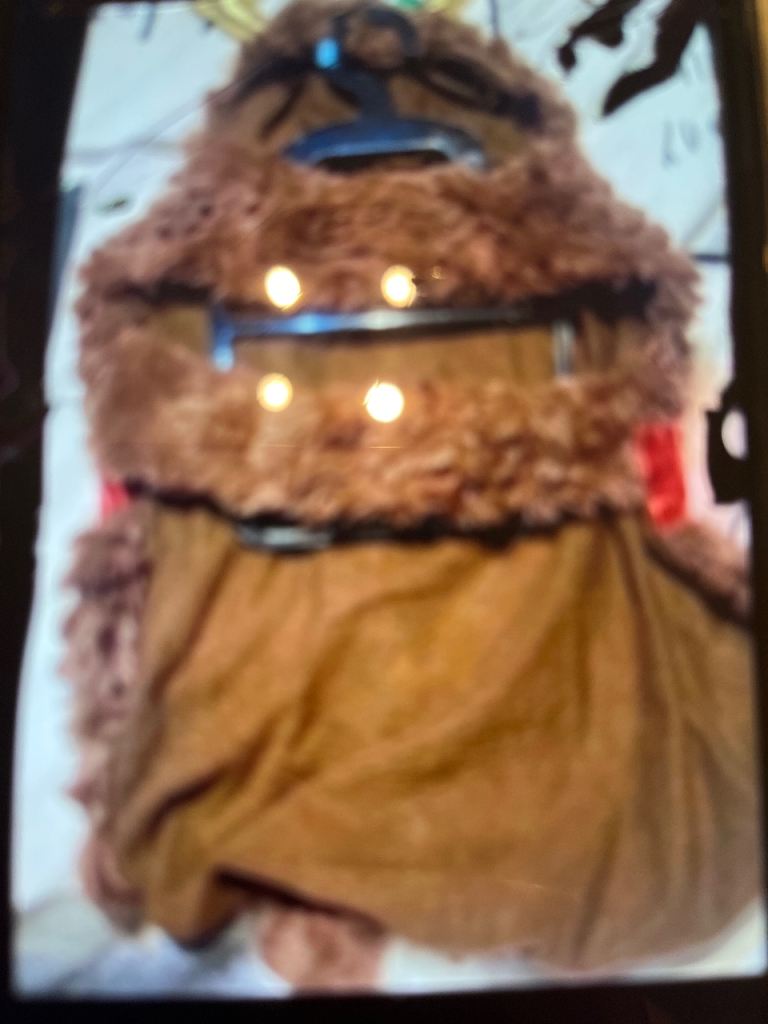 NEW WITH TAGS SIZE SMALL REINDEER DOGS COAT