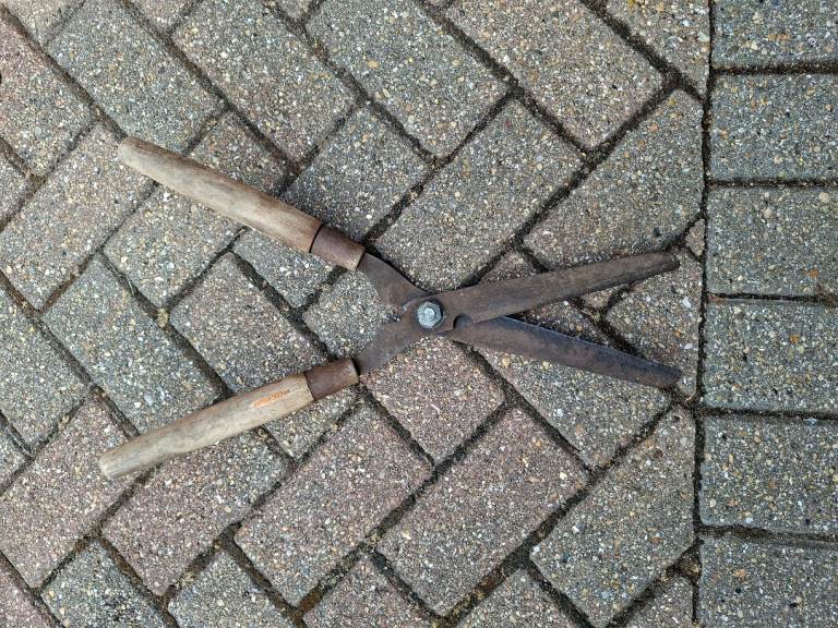 Vintage traditional garden shears