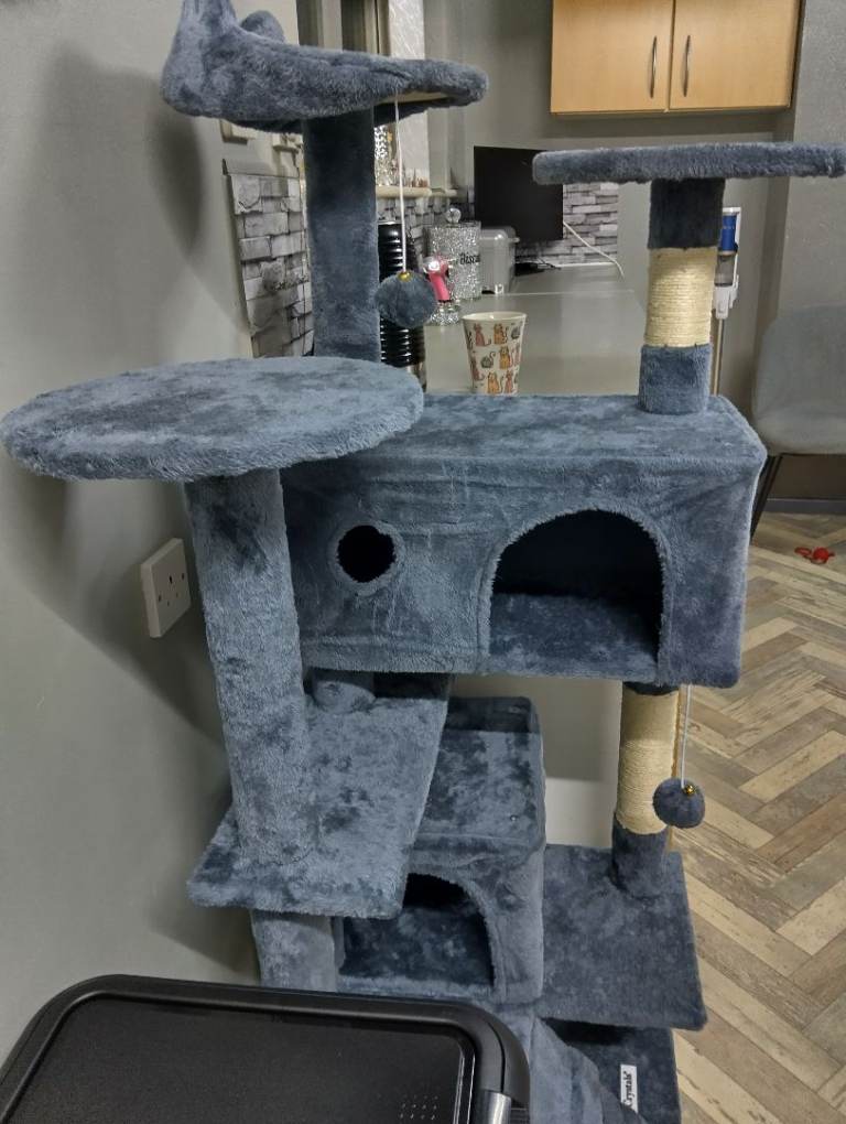 Brand new cat tree