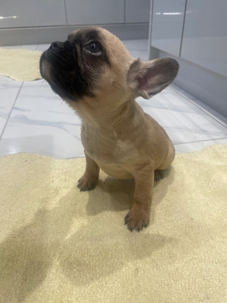 Ready now for there 4ever homes 