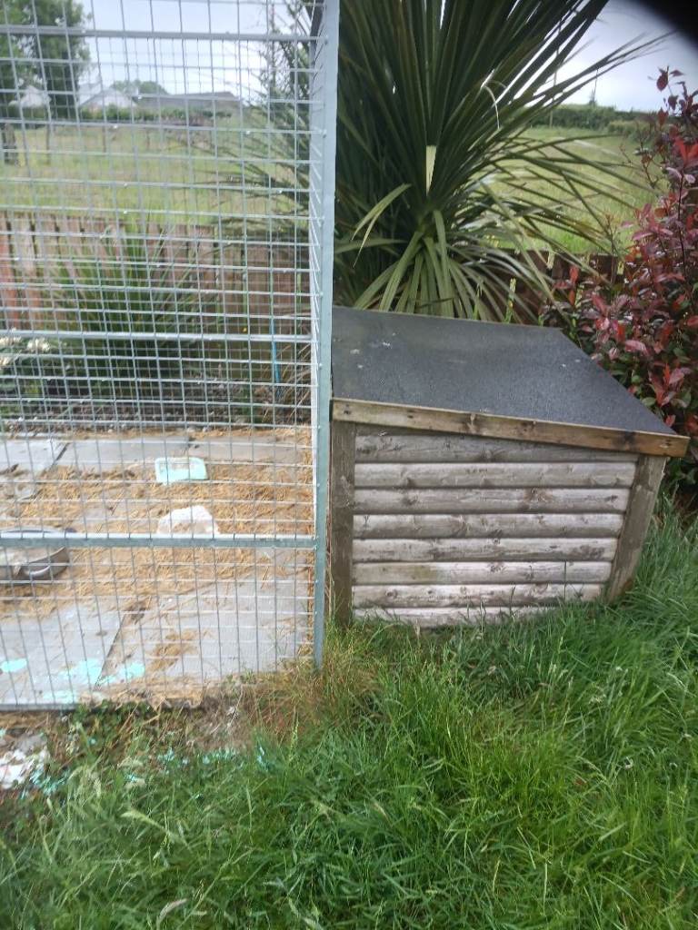 Galvanized large pen and dog box