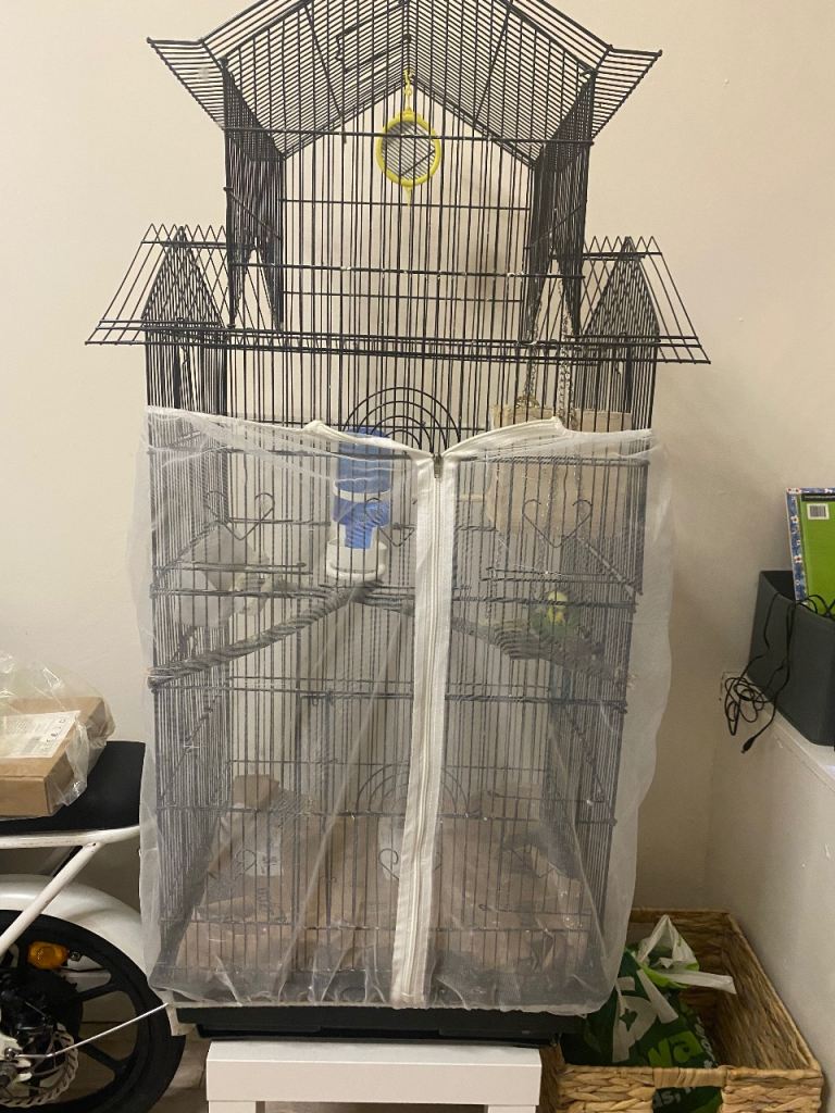 Bird cage 