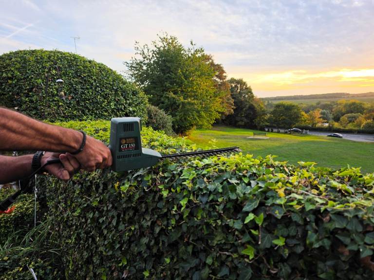 Black & Decker GT150 Hedge Trimmer with Extension Lead