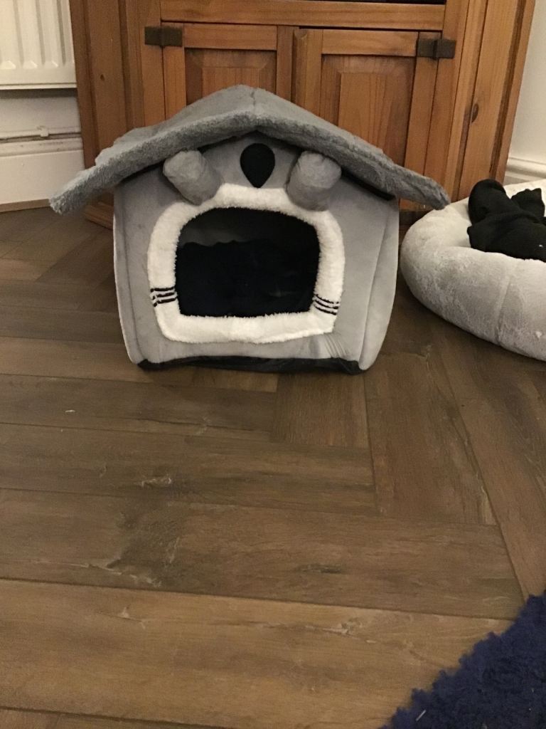 Dog bed