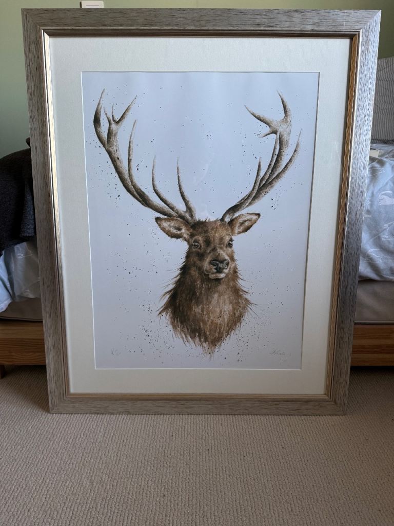 Framed Stag Print