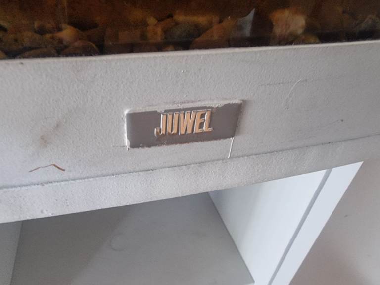 4 ft bow fronted fish tank and stand