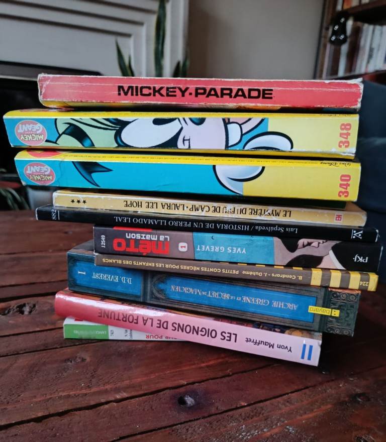 Children books in French 