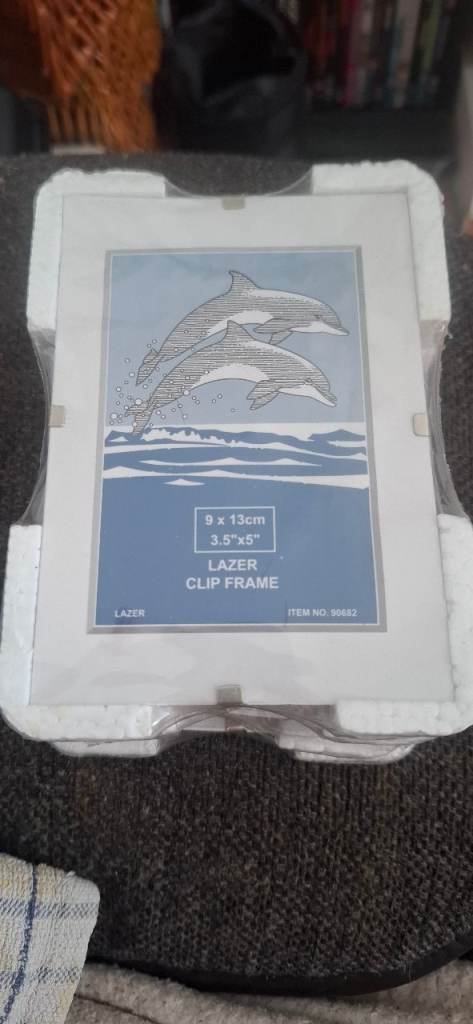 5 x Lazer Clip Frame 8x10" (20x25cm) with Dolphin Print