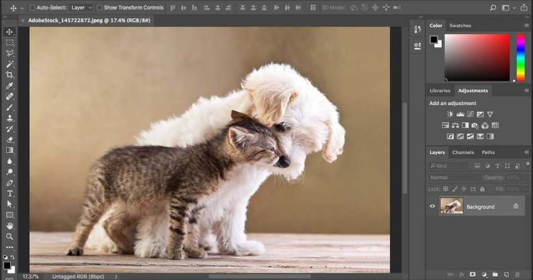 Photoshop 2026