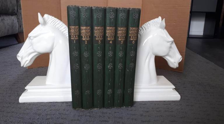 Vintage Antique Style White Horse Head Bookends Statue Decorative Shelf Display Piece