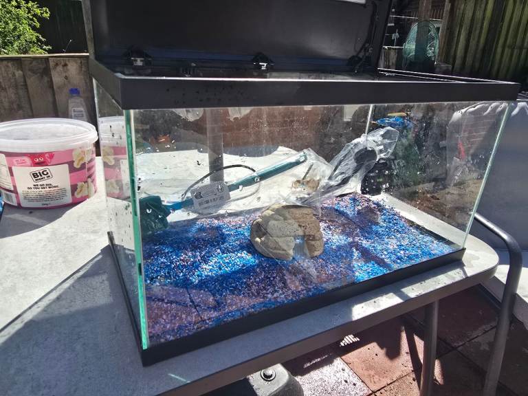 Fish tank  2ft x 1 ft x 1ft 