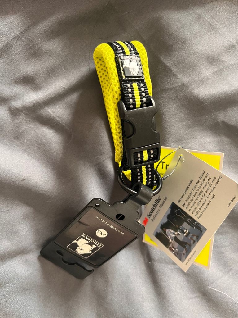 Dog collar - puppy or small dog