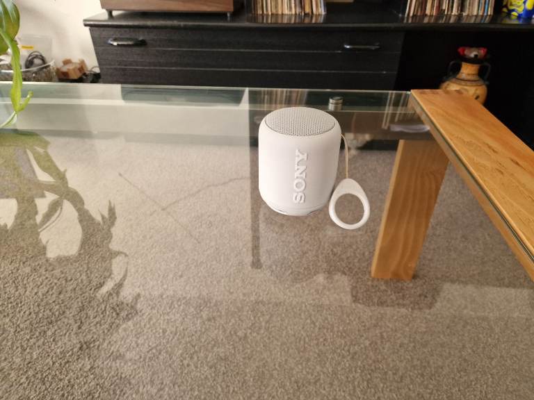 Sony SRS-XB10 Wireless Bluetooth Speaker 