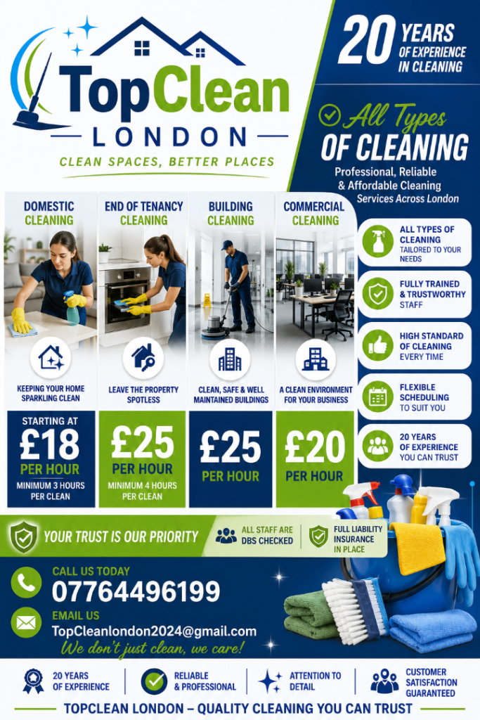 Domestic Cleaners 