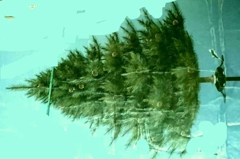 Artificial Christmas Tree – Good Condition