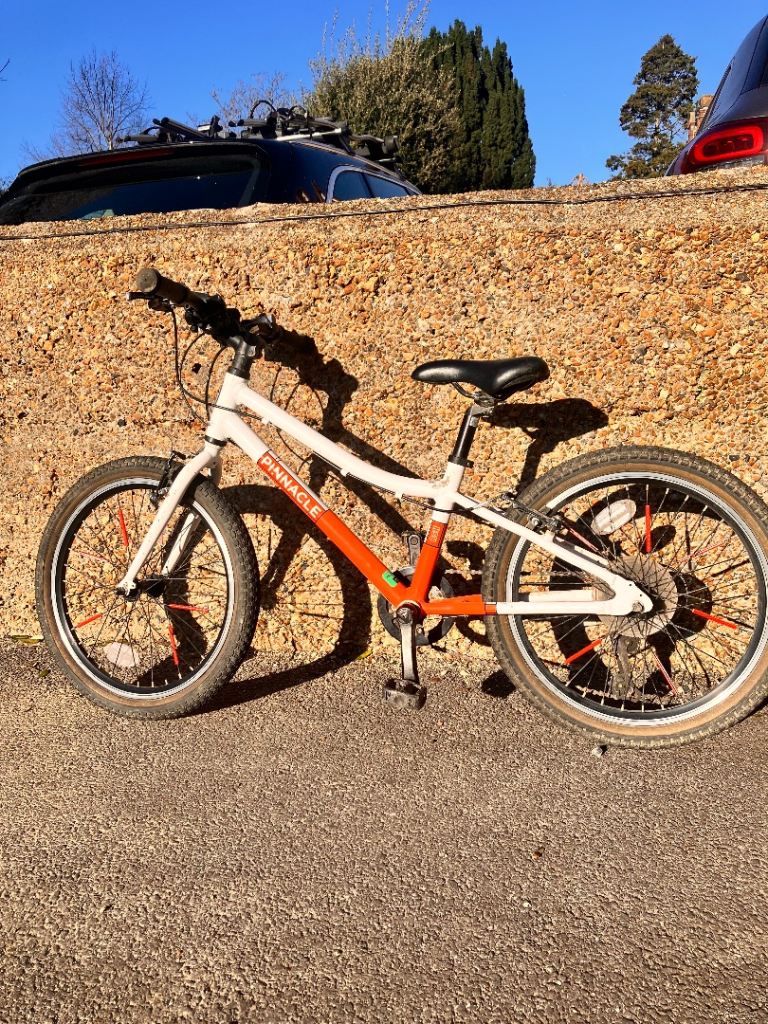 Great Kids Bike £50