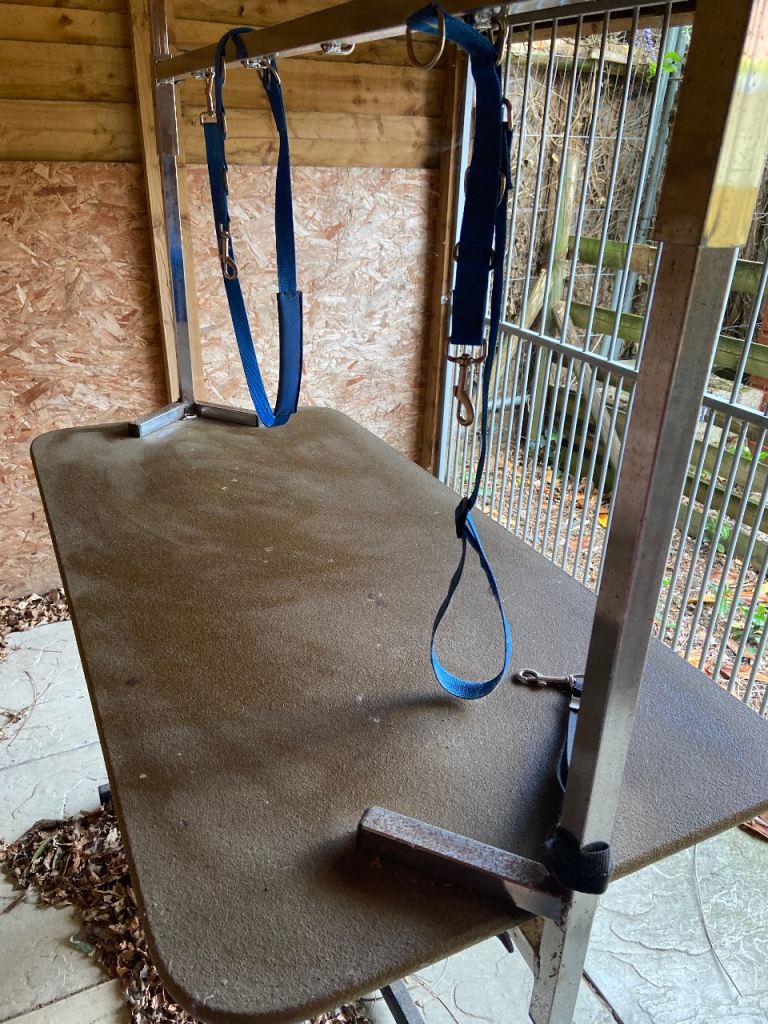 Dog grooming table 