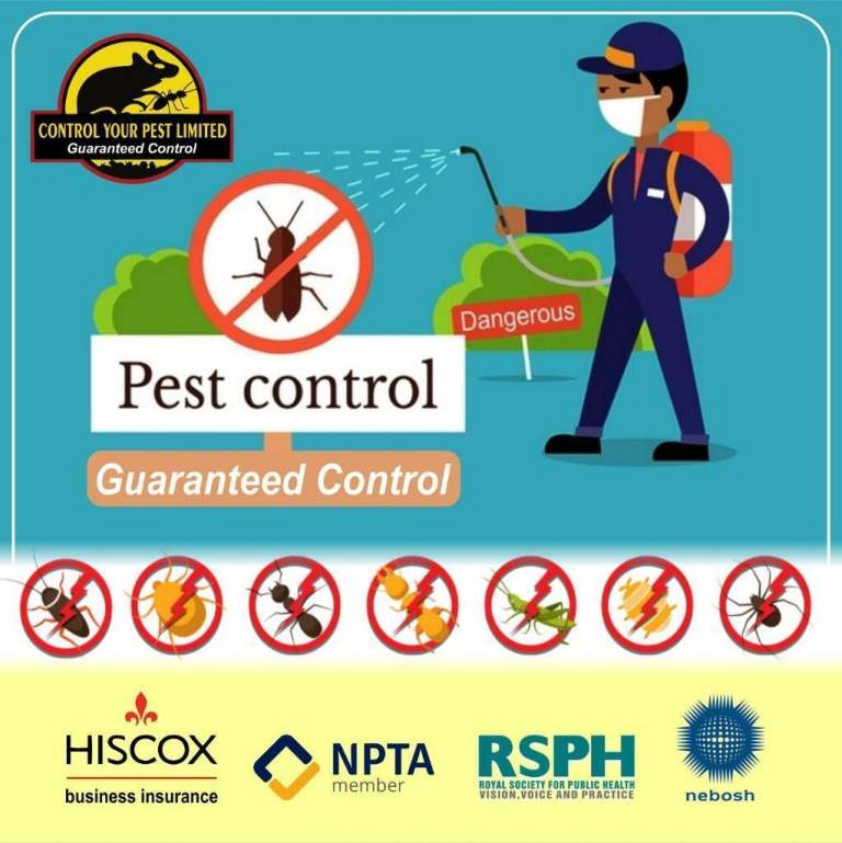 Pest control Mice rat bedbugs wasps mouse exterminator 100% same day cheap