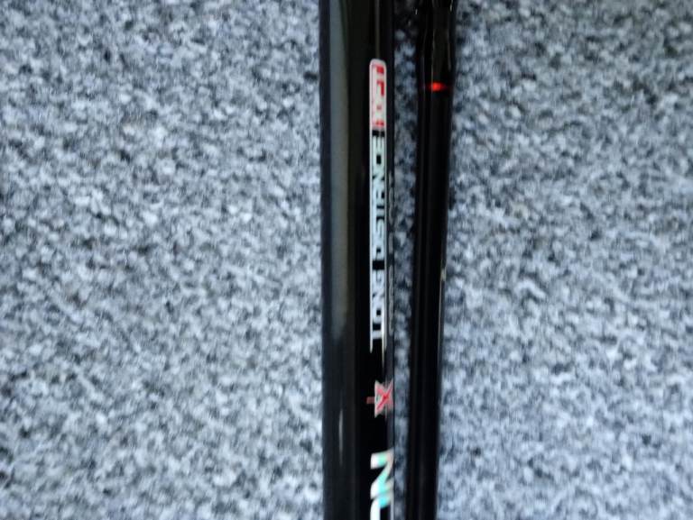 Fishing rod carp