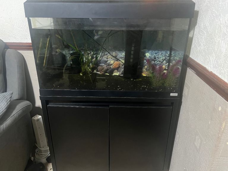 Fish tank 