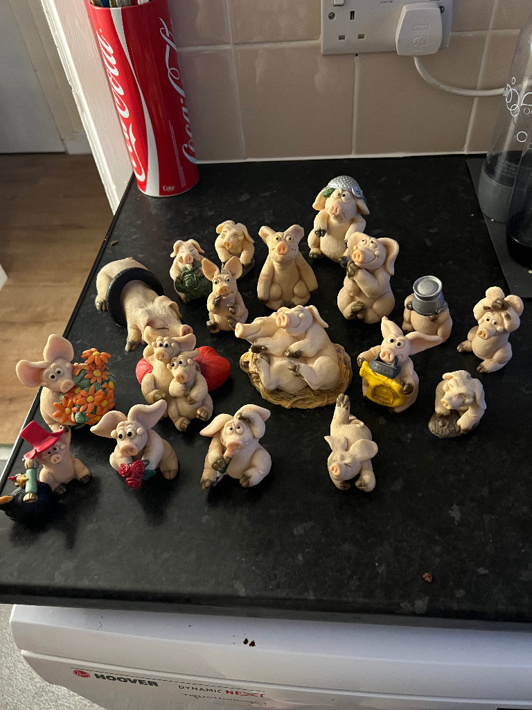 Piggin pig collection 