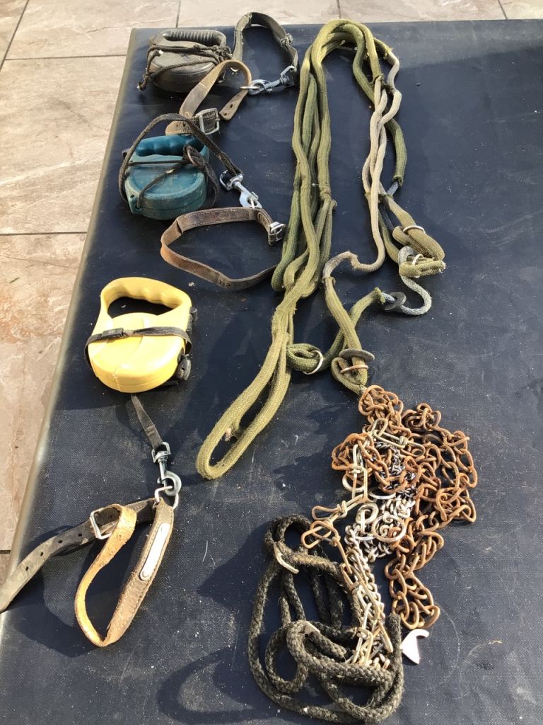 Dog leads