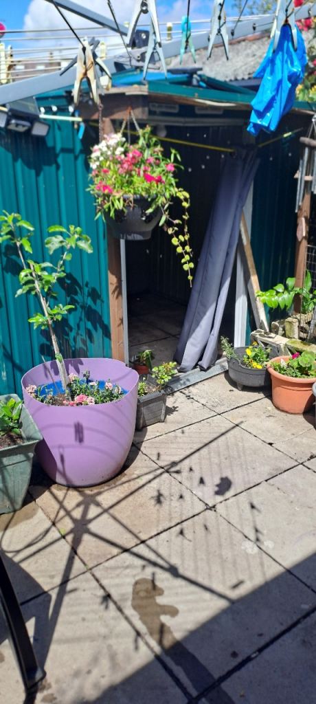 Free metal garden shed  8x6  needs dismantling!!!!