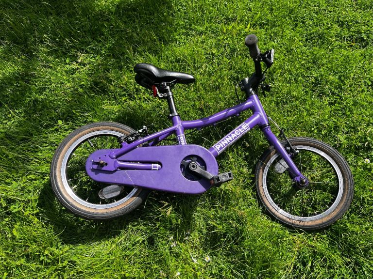 14” Pinnacle kids bike 