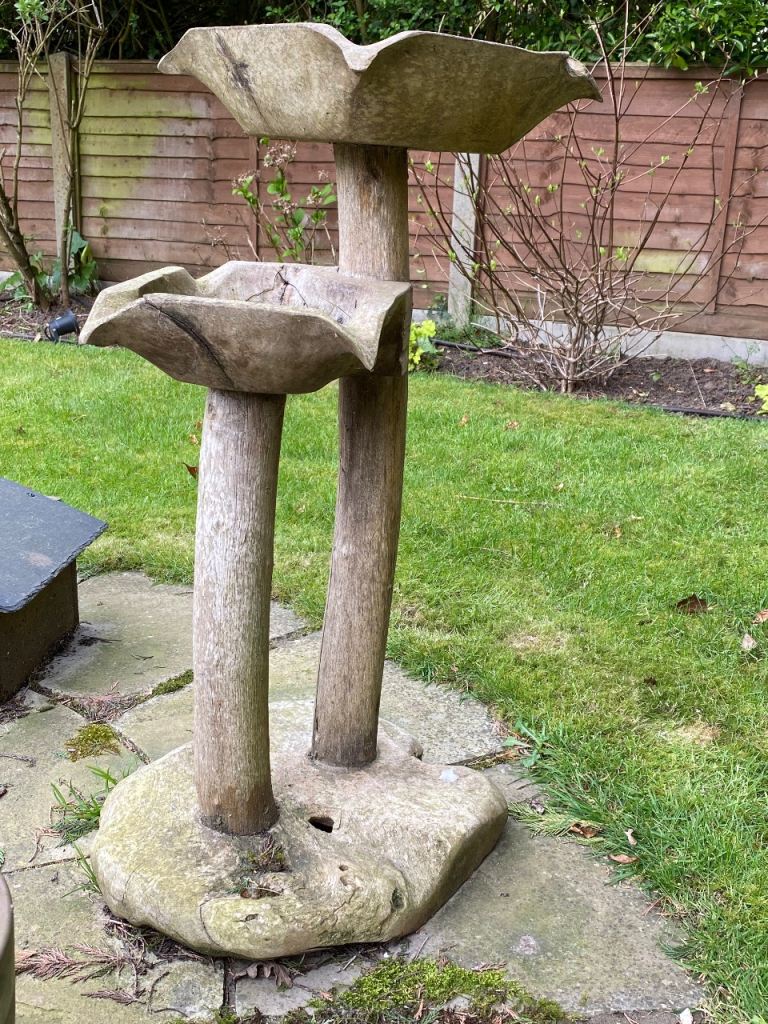 Teak Root Twin Bird Bath 