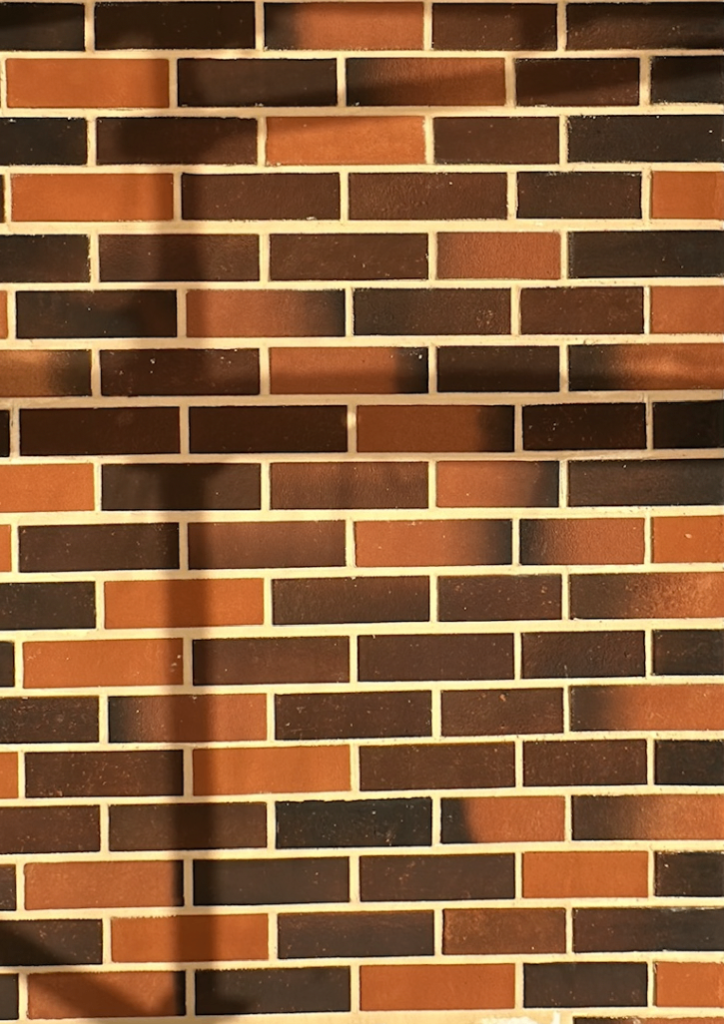 image for Brickslips Elastic