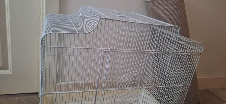 bird cage 