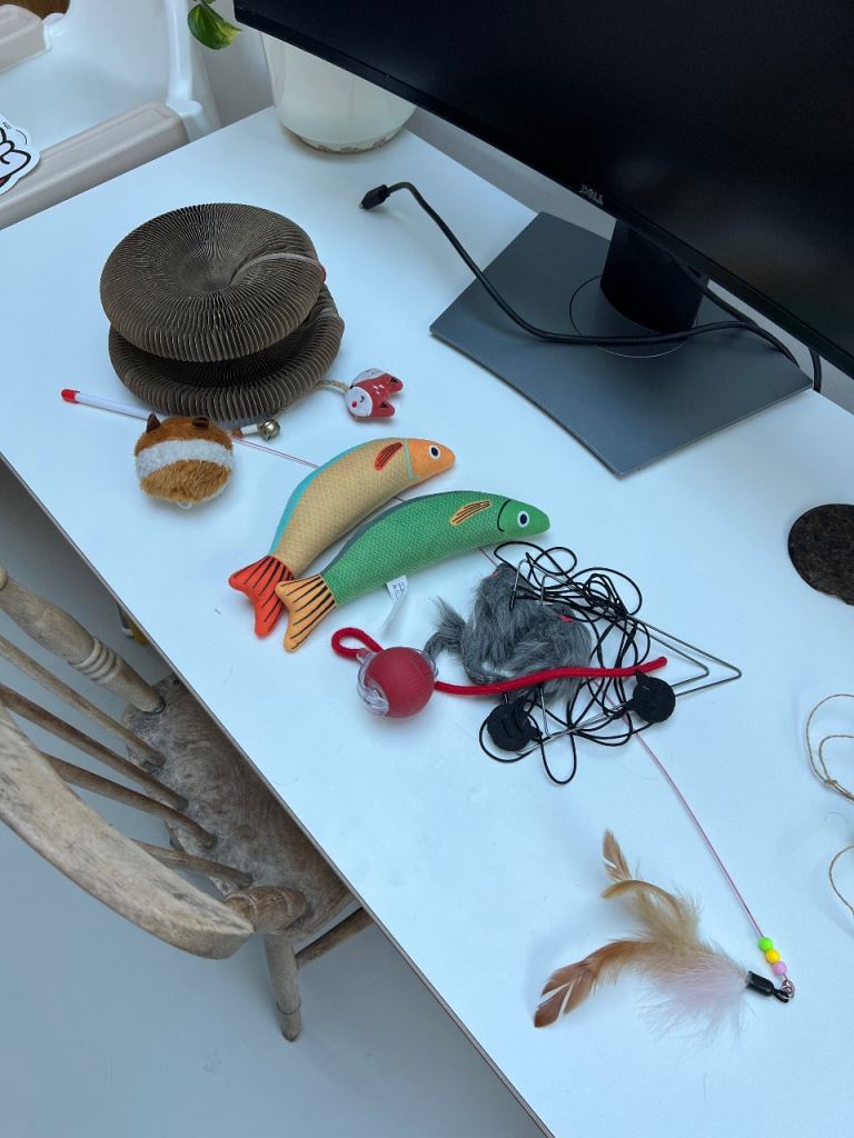 FREE Selection of Cat Toys