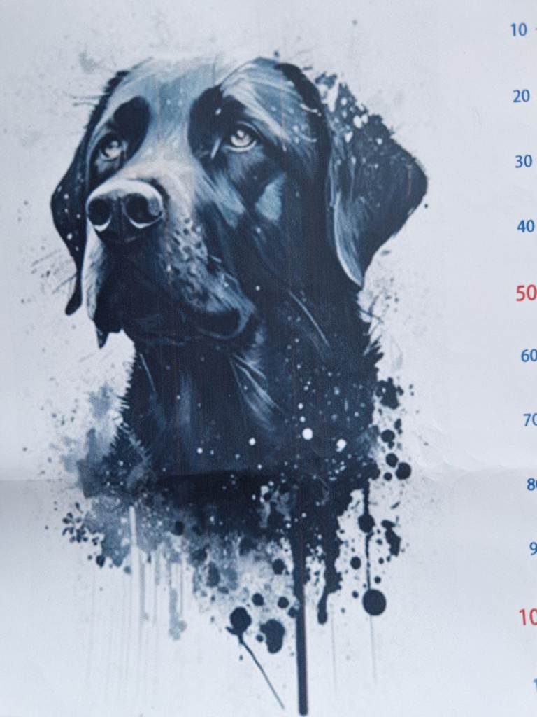 Free cross stitch / tapestry kit