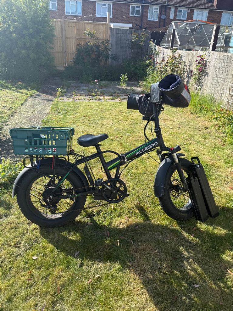 Electric bike allegro