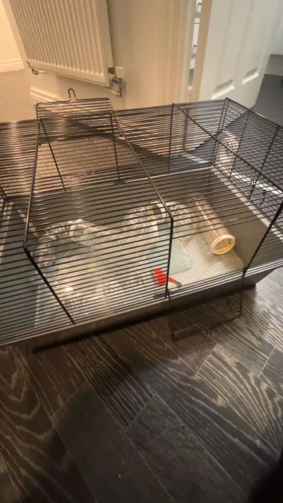 Hamster Cage and equipment