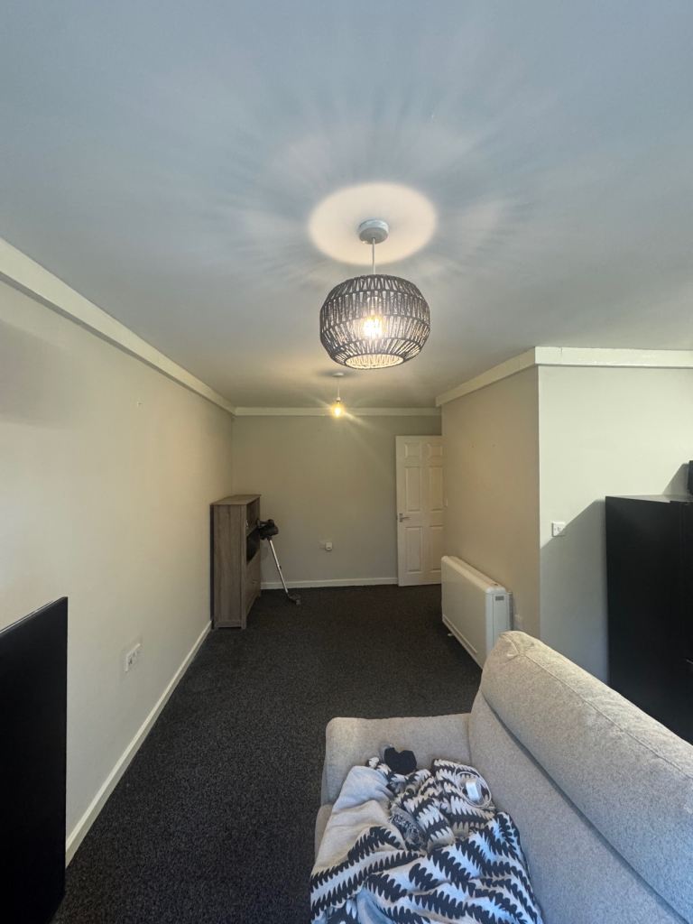I am a local painter i only take on houses and flats only for painting 