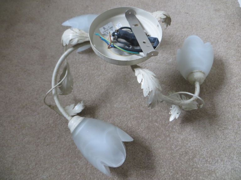 Decorative ceiling light 
