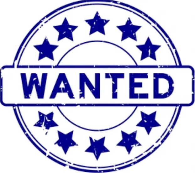 Studio or One Bed Flat Wanted in Hackney