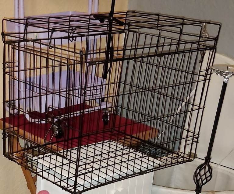 large dog or animal cage  
