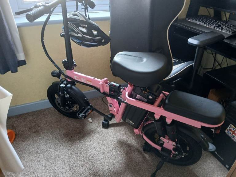 Electric bike 