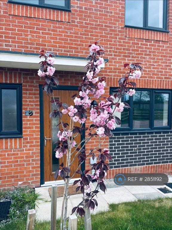 3 bedroom house in Balwen Close, Winsford, CW7 (3 bed) (#2851192)