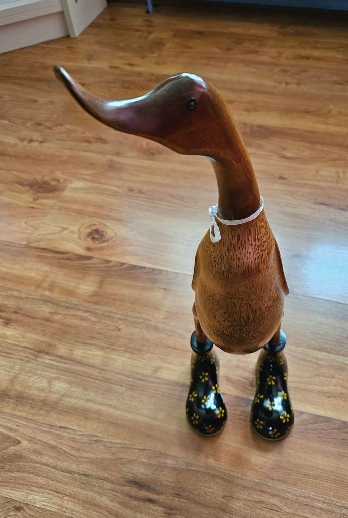 Charming Wood Duck home decoration..