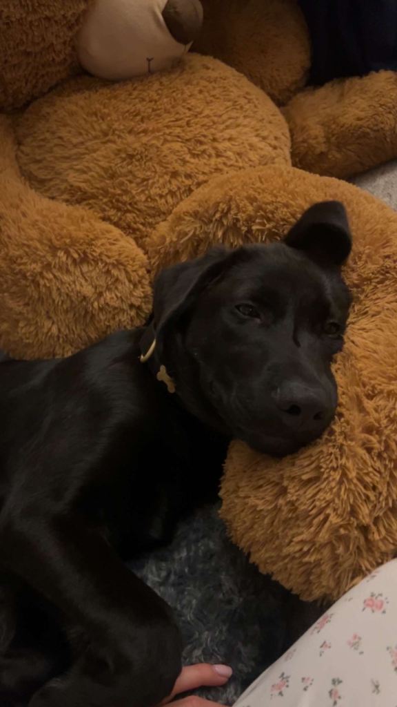 Marley 