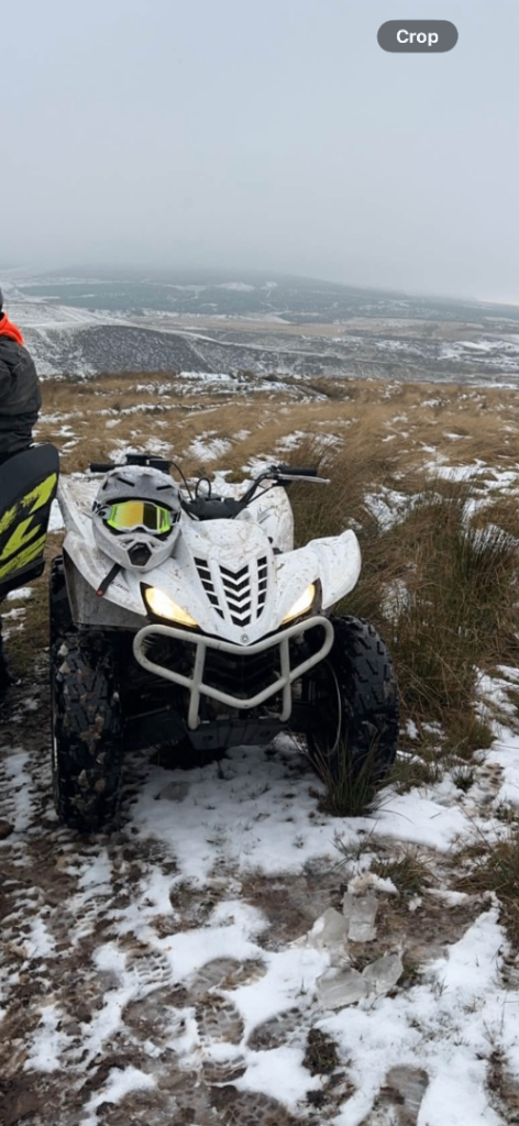 Yamaha wolverine 450