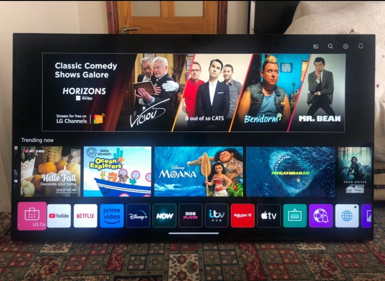 LG OLED65GX6LA 65 Inch Smart 4K Ultra HD HDR OLED TV with Google Assistant & Amazon Alexa